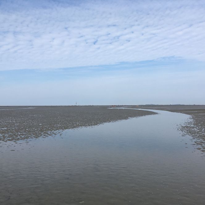 Blick ins Wattenmeer vor Neuwerk. Der Himmel ist blau und bewölkt.