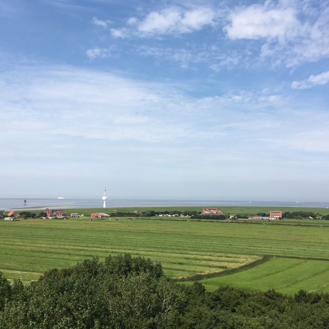 Blick über die Insel Neuwerk an einem Sommertag. 