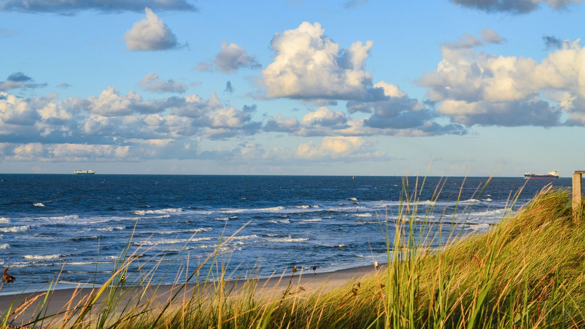 [Barrierefreiheit] alternativer Text