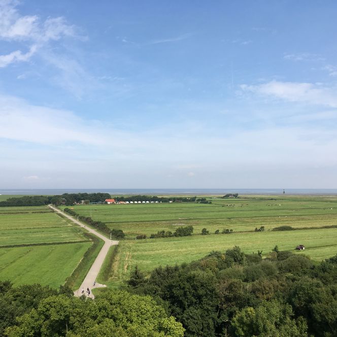 Blick von oben über die Insel Neuwerk.